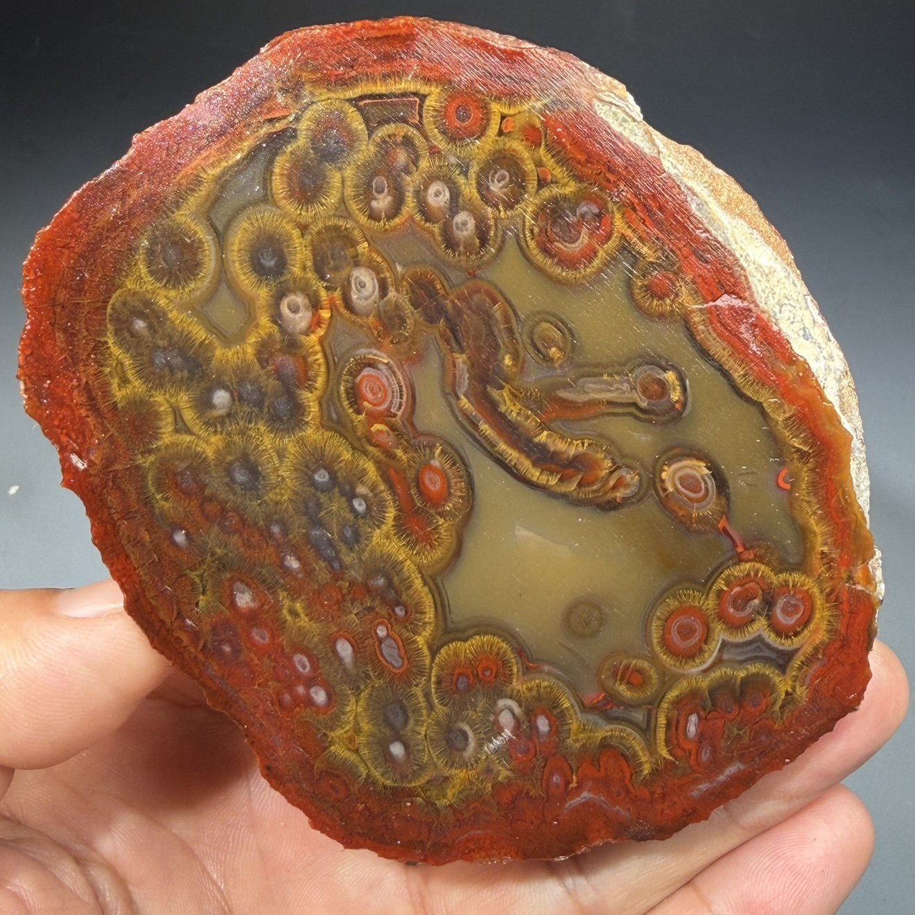 天然精品玛瑙原石原矿毛毛眼睛石好料天珠料红黄珠宝奇石,淘宝优惠券,粉丝福利购,淘宝优惠卷