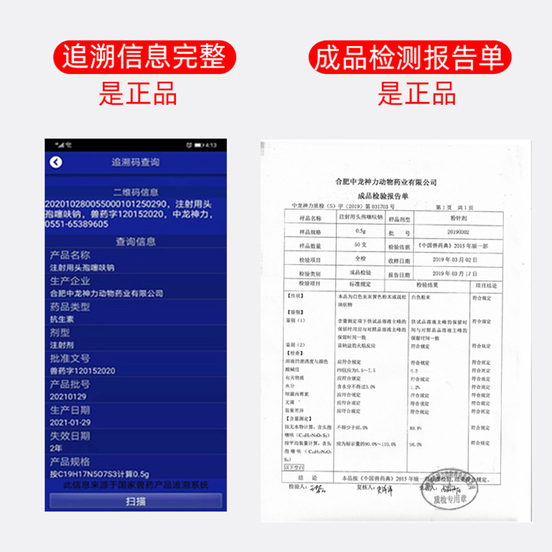 兽用注射用头孢噻呋钠鱼腥草注射液母猪产后消炎针剂牛羊感冒兽药 - 图2