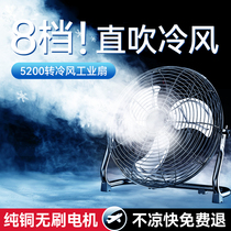 Electric fan Industrial fan powerful electric fan High power floor fan Home desk fan seat Desktop groveling fan 1780