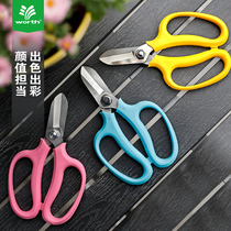 Wersch gardening floral arts cut flowers flower arrangements Home cut flowers and flowers flowers and flowers Shop special tools Scissors 3068