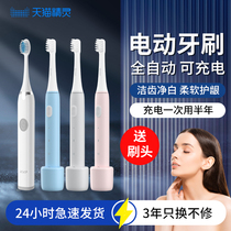 Electric toothbrush adult fully automatic charging net red female male section ultrasonic couple suit official flagship store 897