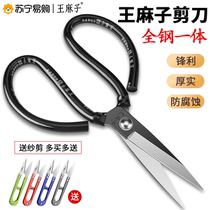 King Hemp Scissors Stainless Steel Home Small Clippers Hand Cut Paper Wire Head Kitchen Official Flagship Store 1102