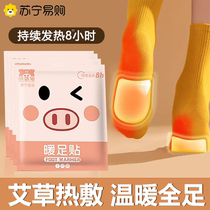 Agrass warm foot sticker girl foot bottom cushion self-heating and warm patch winter walking anti-chill and warm baby stick 2714