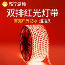 LED red light with outdoor waterproof light with strip 220V red light holiday festive exterior wall KTV decorative line lamp 3005