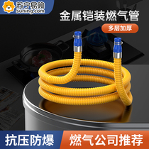 Home Fuel Gas Pipe Coal Tracheogas Natural Liquid Gas Special Stainless Steel Corrugated Explosion Proof Metal Connection Hose 824