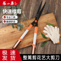 Zhang Koizumi Cut Twigs Special Scissors Horticultural Cut Pruned Branches Cut Flowers Cut Garden Cut Fruit Tree Extension Rod 790