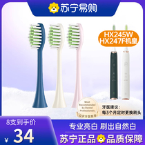 Adapted Philips HX2451 electric toothbrush head HX245W HX245F replacement head machine Real brush special 1215