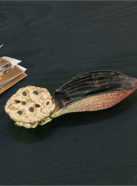 创意中式树脂莲花花瓣名片架摆件