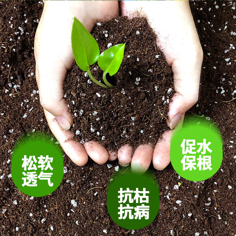 花泥营养土花土壤种植土种菜绿萝兰花多肉植物专用泥土盆栽通用型,淘宝优惠券,粉丝福利购,淘宝优惠卷