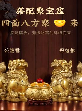 铜貔貅摆件一对公母纯黄铜貔全黄铜皮丘家用客厅店铺铜貔犰办公室