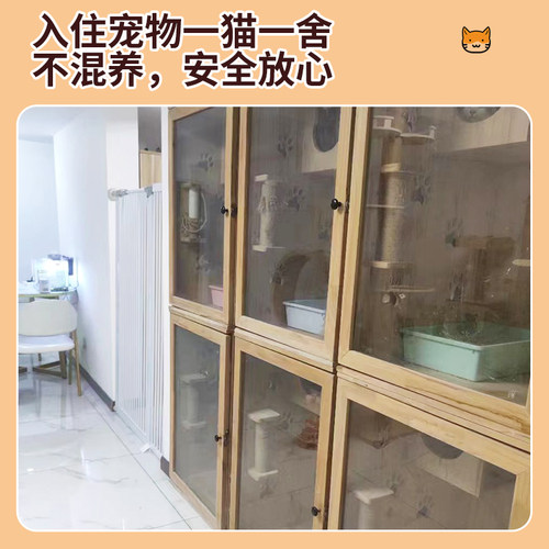 上海/苏州宠物寄养猫咪代管猫猫兔子龙猫仓鼠小宠托管长短期代养 - 图0