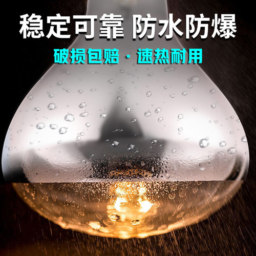浴霸灯泡家用卫生间取暖灯275w通用中间照明LED老式浴霸电灯泡 - 图2