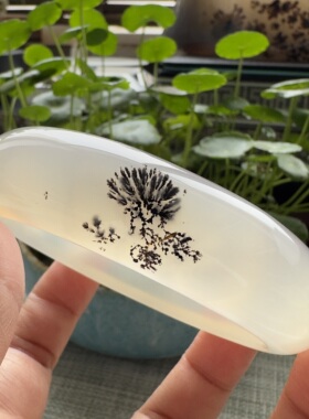 花语玉髓 天然海洋玉髓马料高冰水墨发丝玛瑙手镯圈口60mm