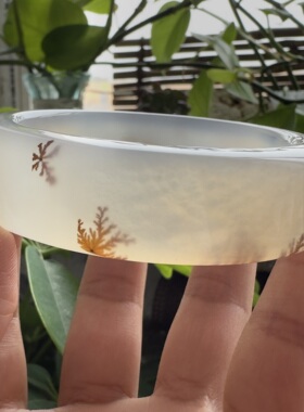 花语玉髓 天然海洋玉髓马料高冰油润草花玛瑙方镯58.5mm