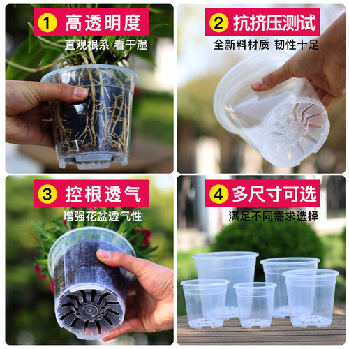 青山盆兰科专用加厚加硬塑料透气透明PP材质花盆适合蝴蝶兰君子兰 - 图0
