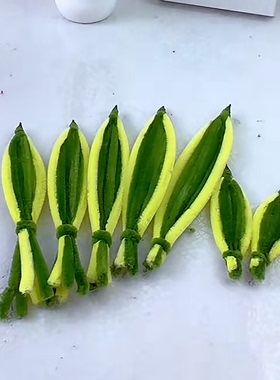 扭扭棒小盆栽虎皮兰手工材料包
