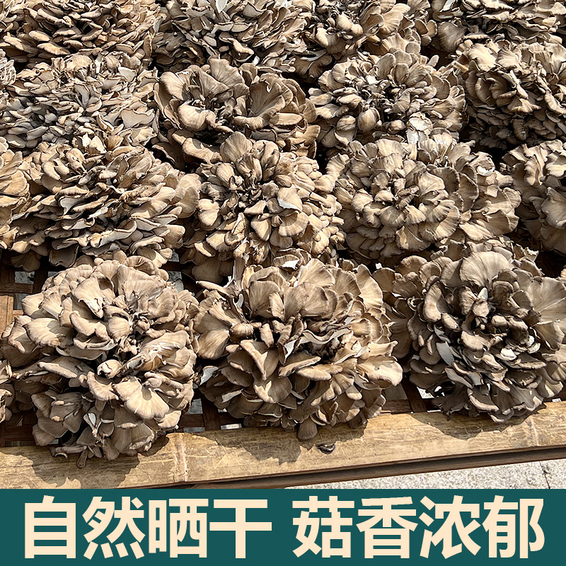 新鲜庆元农家灰树花干货无泥沙非特级舞茸菌栗蘑香菇66.8元500g - 图0