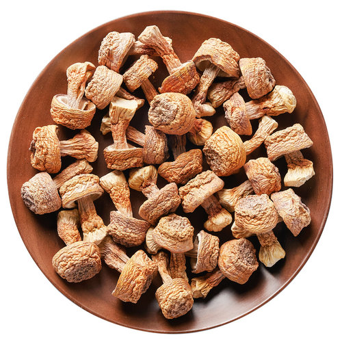 新货姬松茸干货云南特产精选非特级无硫松茸菌巴西菇蘑菇菌菇250g - 图3