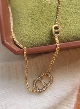 法式复古高级感时尚百搭通勤精致猪鼻子项链小众设计感钛钢锁骨链