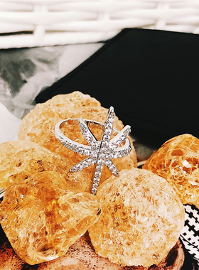 longbao欧美气质微镶奢华锆石