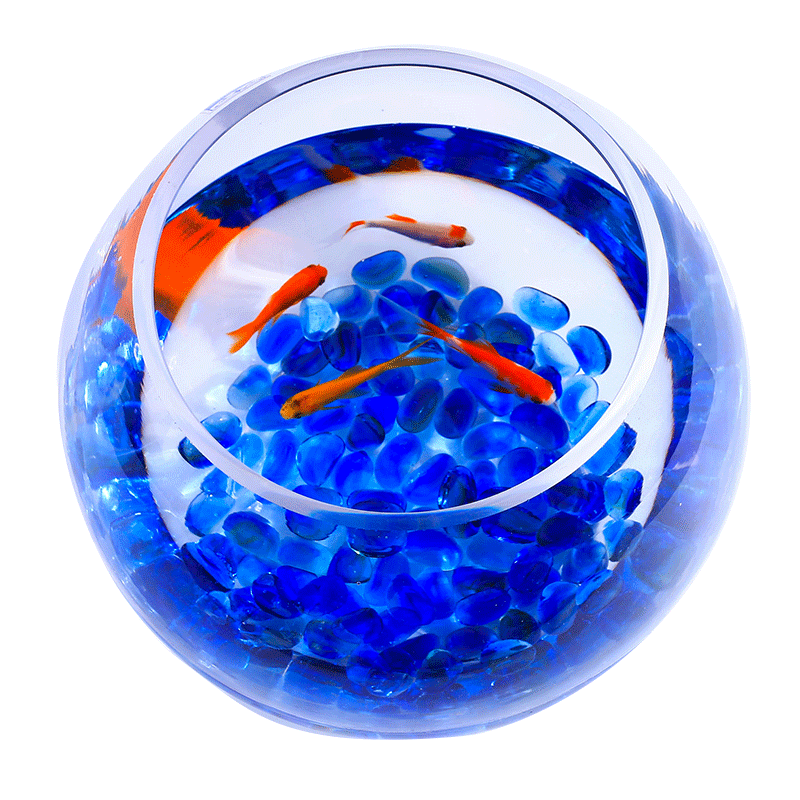 水培植物玻璃瓶 水培绿萝花瓶花盆玻璃圆球水养鱼缸器皿容器 - 图2