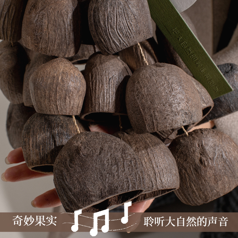 梵木果南非进口水铃桐果壳天然音疗解压拟声乐器白噪音伴奏演唱会 - 图2