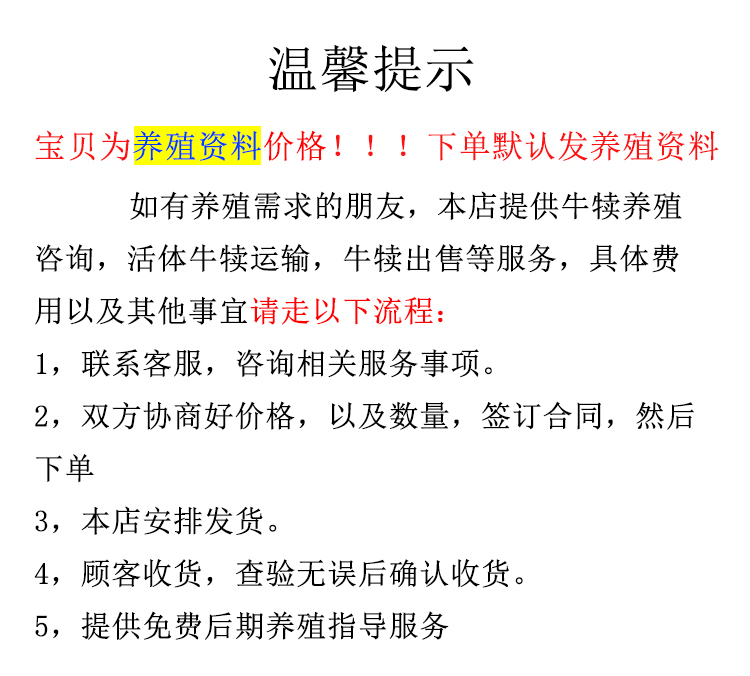 牛苗活体山东黄牛犊改良肉牛犊利木赞牛仔小牛犊西门塔尔牛崽贵州 - 图1