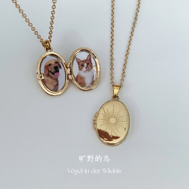 Vögel「椭圆」可定制相盒照片项链情侣礼物纪念宠物亲人照片吊坠