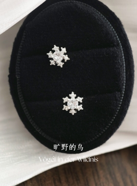 通体s999！养耳洞轻奢小众高级感