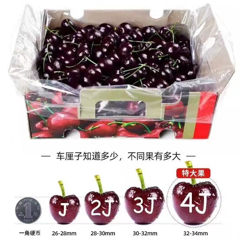 智利车厘子新鲜水果当季5斤4J整箱进口特大果樱桃孕妇礼盒3j顺丰,淘宝优惠券,粉丝福利购,淘宝优惠卷