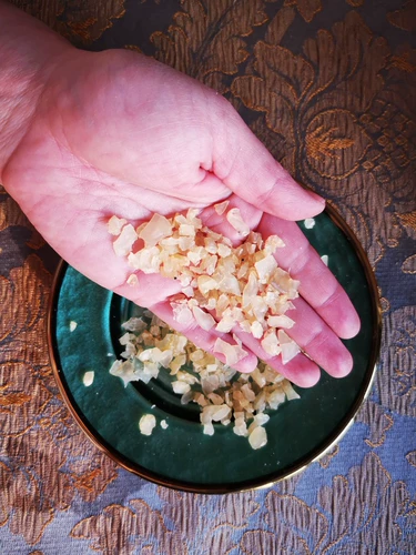 Айзен северо -восточный снежный моллюский масло Маленькое подушка грамоза подушка поклон