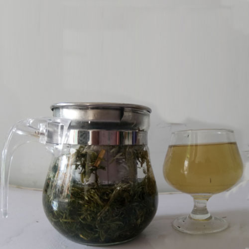 2024年新货茵陈绵茵陈中草药三月茵陈草 白篙茵陈茶500克干茵陈 - 图1