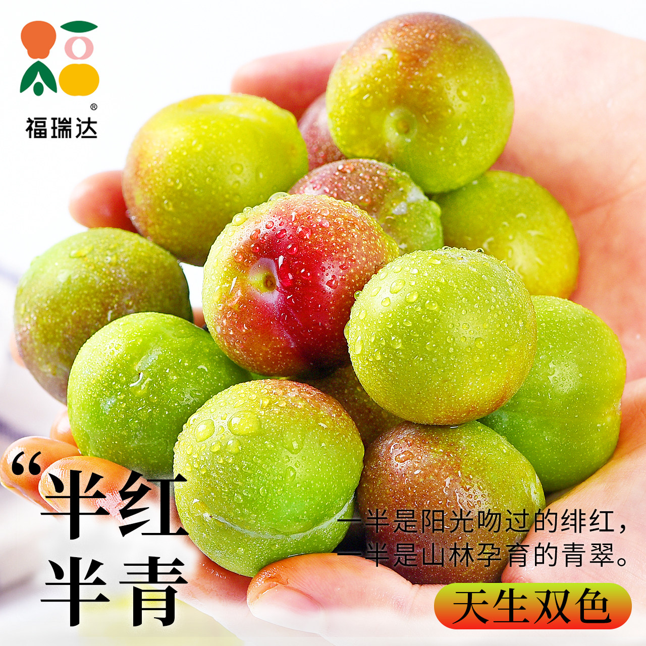 图2