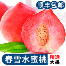 Spring Snowy Water Honey Peach 5 Catty Fresh Now Picking Up Should Season Pregnant Woman Fruits Crunchy Sweet Peach Whole Box 3 Cis-feng Matsuo