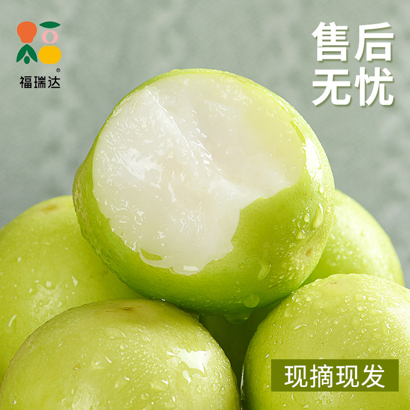 福建贵妃蜜枣牛奶枣9斤新鲜现摘水果大青枣装脆甜精选大枣整箱发