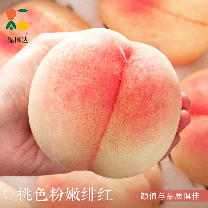 新鲜现摘水蜜桃10斤毛桃子当季露天水果脆甜春雪蜜桃大果孕妇整箱