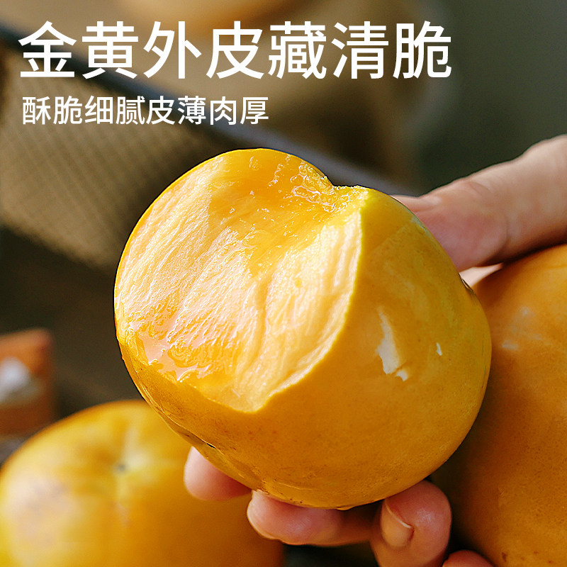 图 4