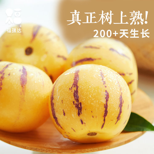 云南石林人参果10新鲜应当季水果七彩整箱人心斤人叁黄肉人生包邮 - 图2