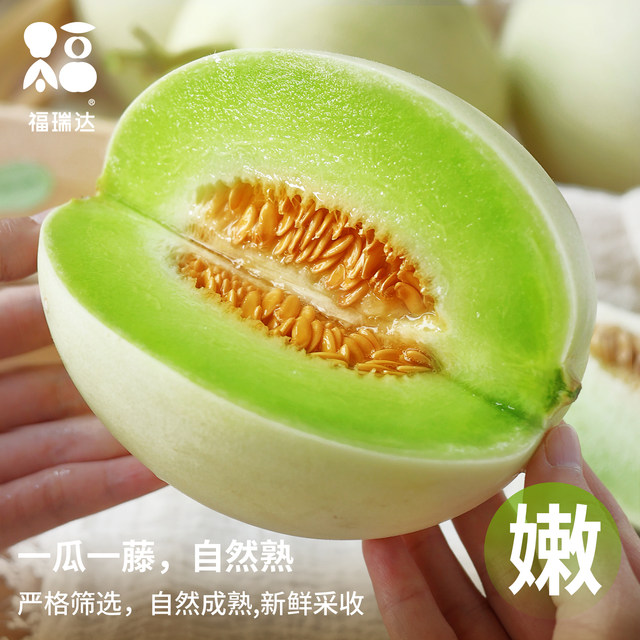 Authentic ice cream with jade mushroom and melon! Freshly picked!
