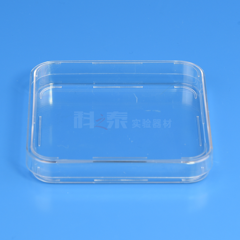 无菌一次性培养皿 10X10cm塑料方形细菌培养皿 带网格计数皿100mm - 图3