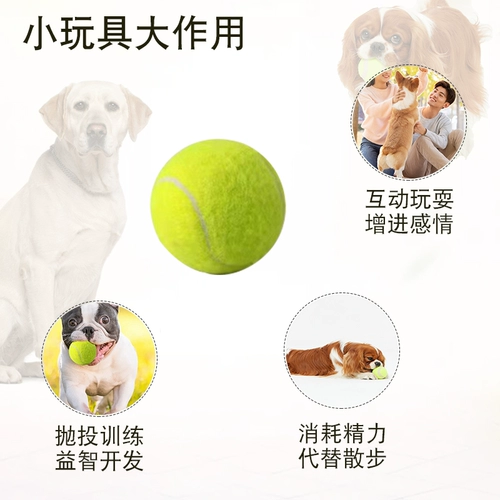 Шесть лет -магазин пять цветов игрушки для собак BALL Большие собаки и лошади, молярные эластичные шарики, кусая бесплатные доставки щенков.