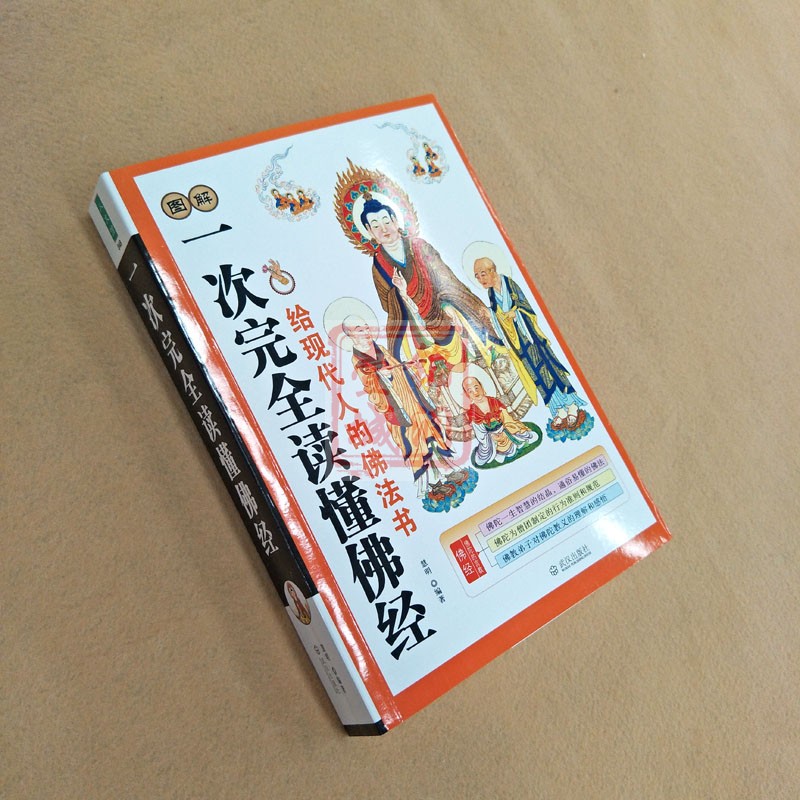 图解一次完全读懂佛经-给现代人的佛法书 介绍佛学常识 让你直观了解佛学300多幅插图图解 图文并茂地展示佛教核心 - 图0