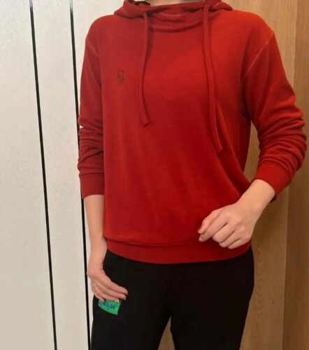 双面德绒内搭卫衣女2025冬装新品百搭神器帽衫加厚保暖连帽打底衫 - 图1