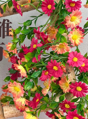 塑料菊花条假花绢花藤条遮挡花串