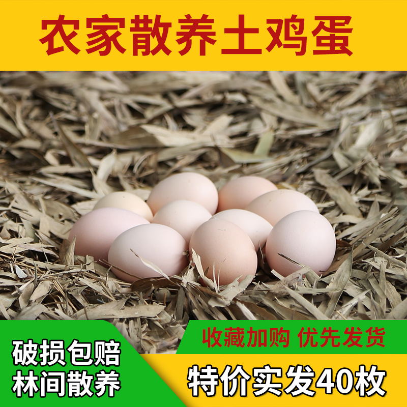 正宗土鸡蛋农家散养新鲜农村自养野外笨柴月子天热五谷虫草蛋50枚-图0