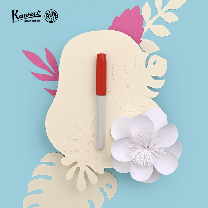 德国KAWECO钢笔 卡维克 进口 Perkeo系列 卡装款 钢笔小学生三年级用正姿练字男女练字书写F尖0.7矫正握姿 - 图0