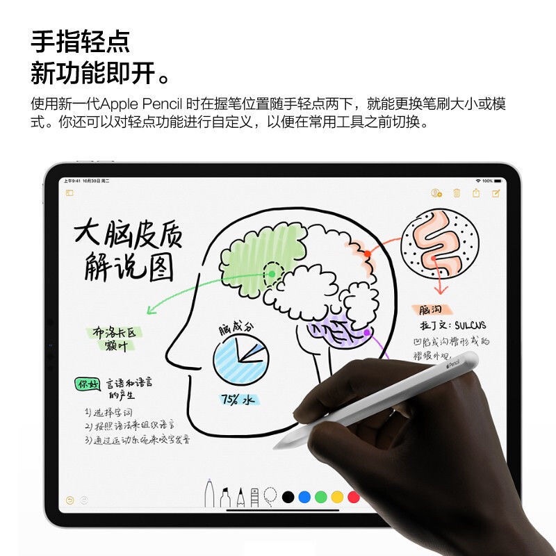 Apple/苹果Pencil 2代电容笔iPadPro平板学习绘画原装手写触控笔 - 图1