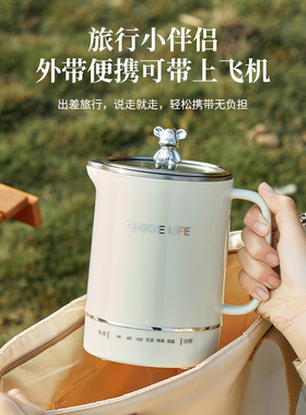 迷你电热杯养生壶办公室小型烧水