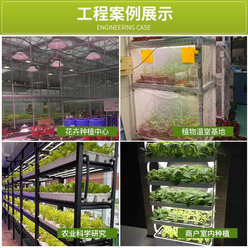 红太氧植物灯生长灯全光谱仿太阳室内家用花卉光照上色多肉补光灯 - 图2