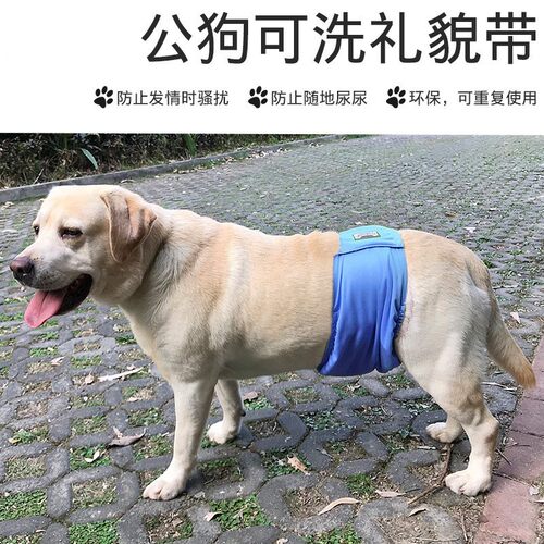 公狗狗生理裤礼貌带防骚扰狗狗尿裤护肚泰迪金毛防水底可换洗内裤 - 图1